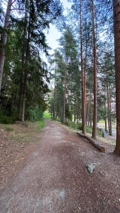 Attraktiv & Smart Funkishytte Pa Nes Strandhager. Årnes Kültér fotó